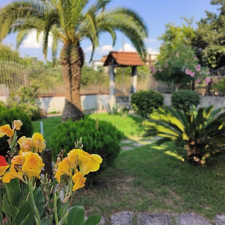 I Giardini Di Plinio - Elegante E Luminoso. Lägenhet Boscoreale Exteriör bild