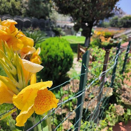 I Giardini Di Plinio - Elegante E Luminoso. Lägenhet Boscoreale Exteriör bild