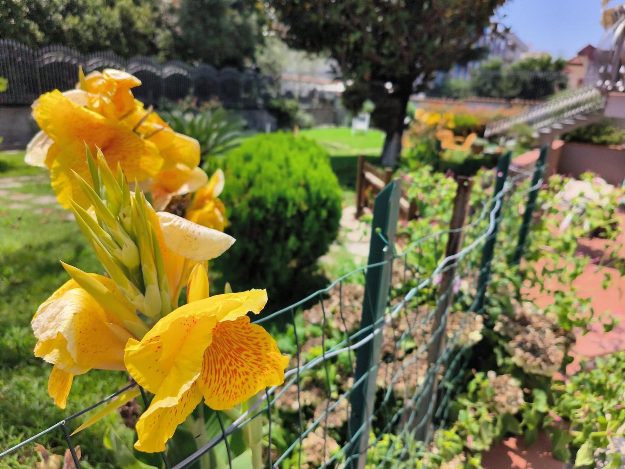 I Giardini Di Plinio - Elegante E Luminoso. Lägenhet Boscoreale Exteriör bild